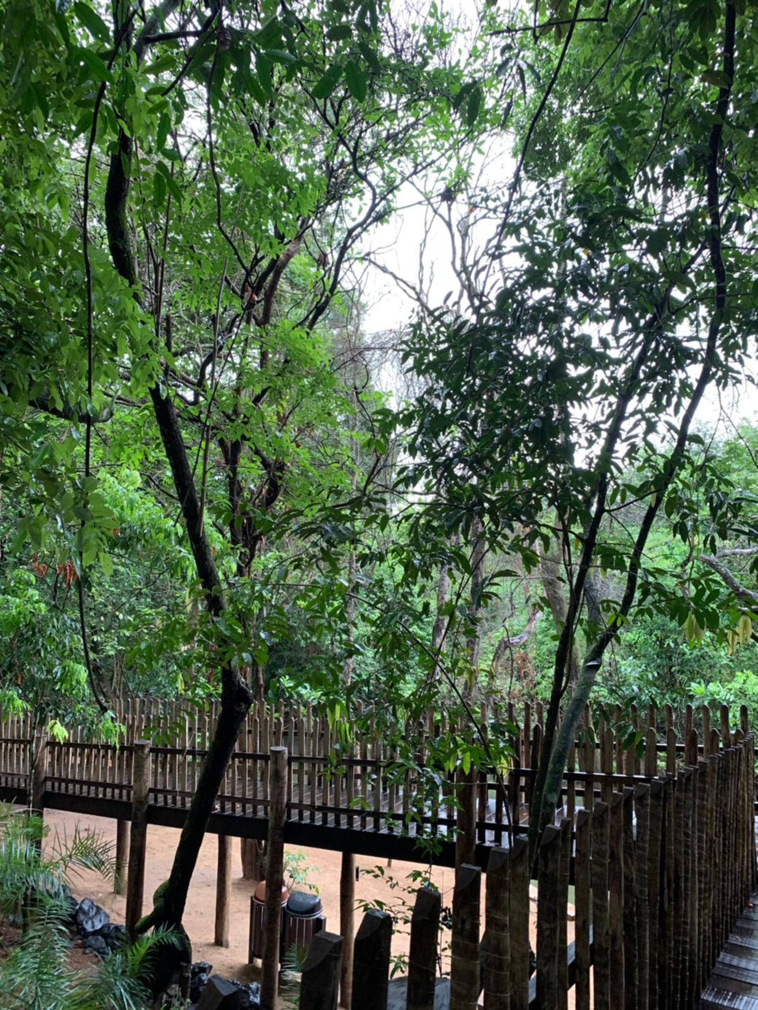 Park Veredas - * Rio Quente